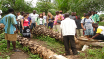 DukeEngage students